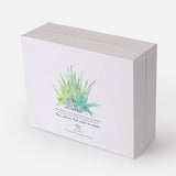 Custom Essential Oil Set Packaging Boxes